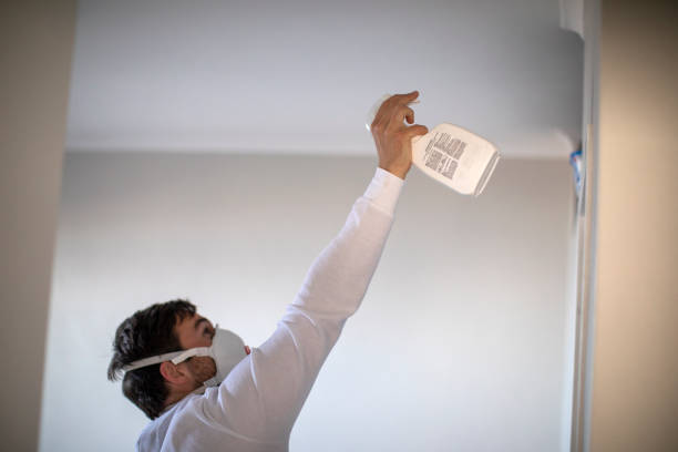 Best Mold Remediation for Schools in Upper Montclair, NJ