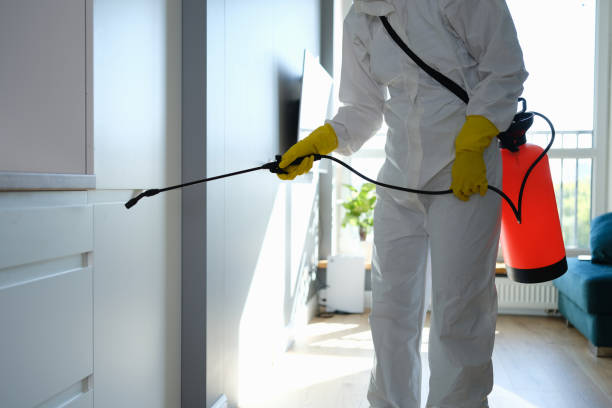 Best DIY Mold Remediation Support Services in Upper Montclair, NJ